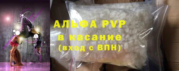 сатива Абинск