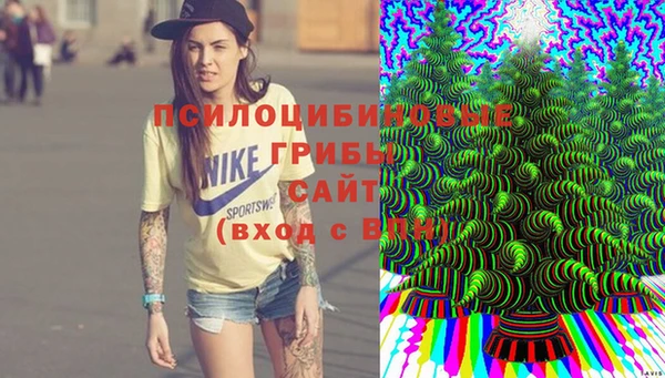 МДПВ Алзамай